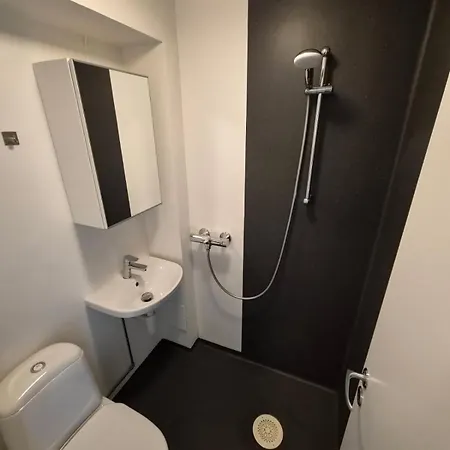 Cozy Near City, Free Parking! Apartament Trondheim